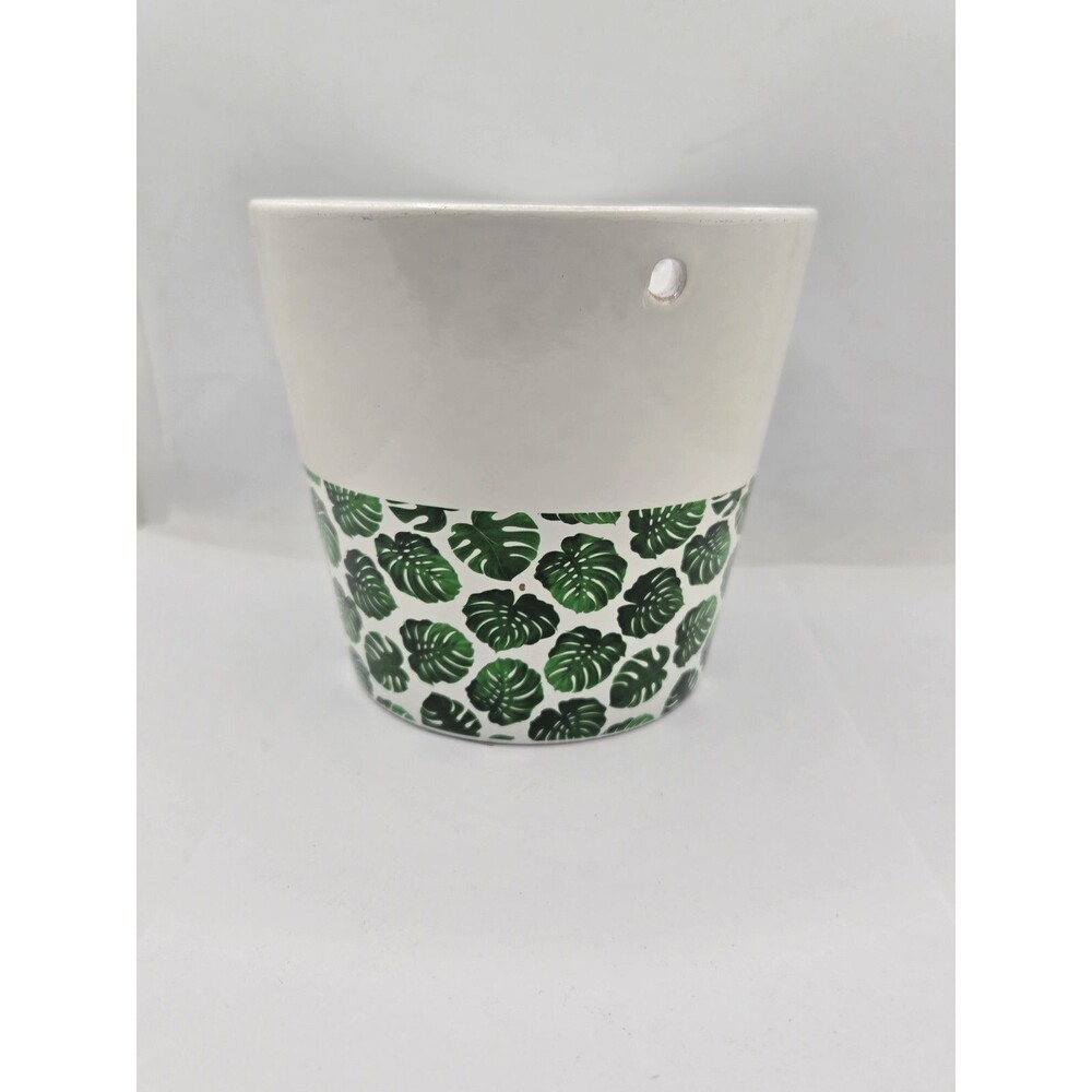 Beautiful Costa Farms Leaves Painted Hanging Plant Pot